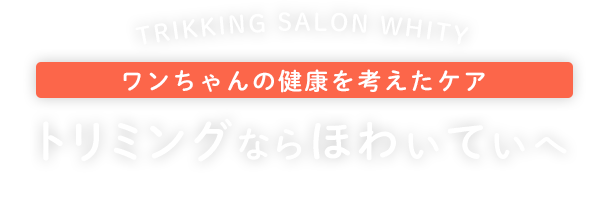 ワンちゃんの健康を考えたケア トリミングならほわぃてぃへ